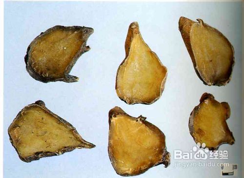 早泻的治疗方法