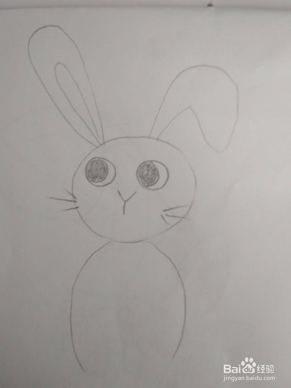 多妈简笔画动物一只可爱的小白兔