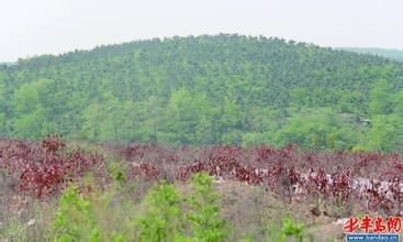 黄山旅游注意事项