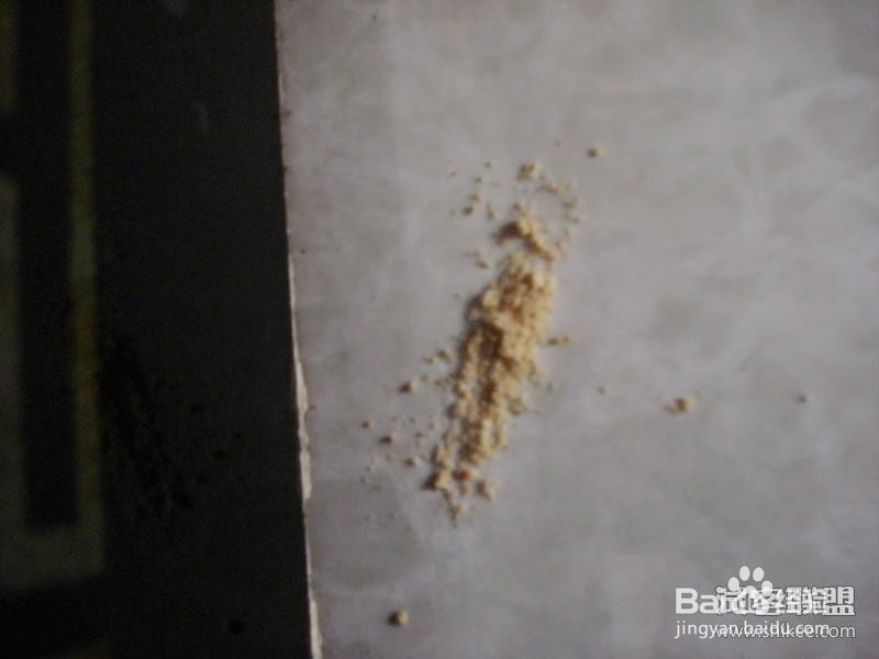 怎样能消灭蚂蚁