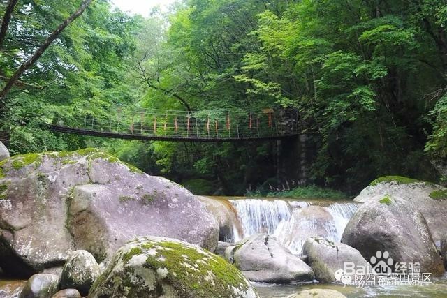 这才是云雾山游玩的正确方式