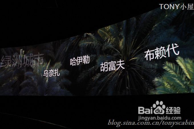 五一长假可以去看看世博园曾经最热门的沙特馆