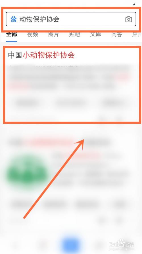 > 互聯網3 然後, 搜索動物保護協會,並點擊中國小動物保護協會官網