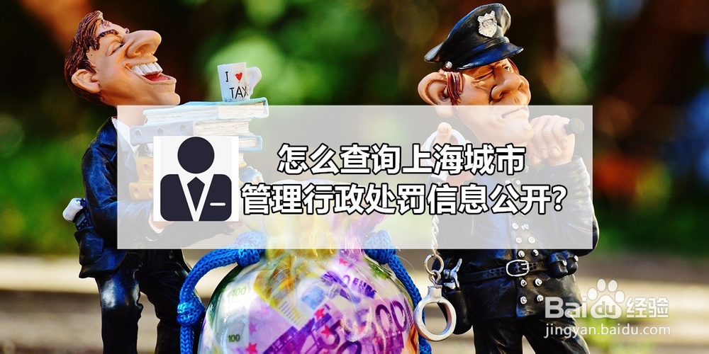 <b>怎么查询上海城市管理行政处罚信息公开</b>