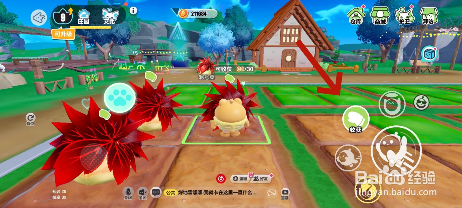 蛋仔派对游戏中收集泥号菜的教程