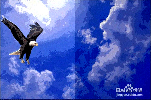 保险公司的大早会流程是什么？