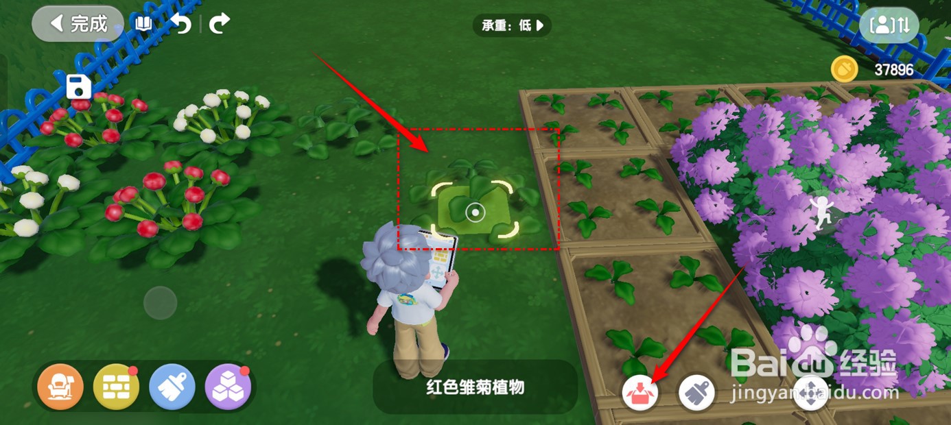 心动小镇已种植的鲜花怎么铲掉