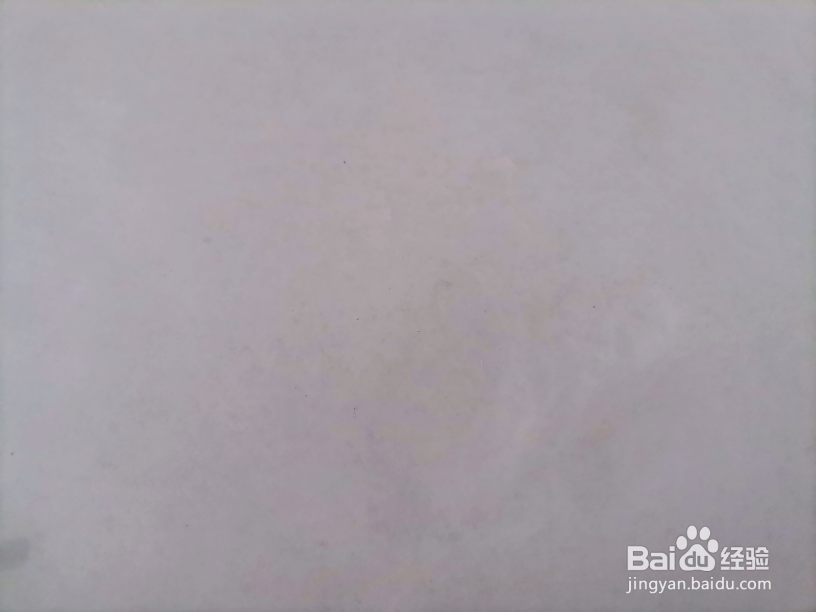 儿童简笔画 一棵花椰菜