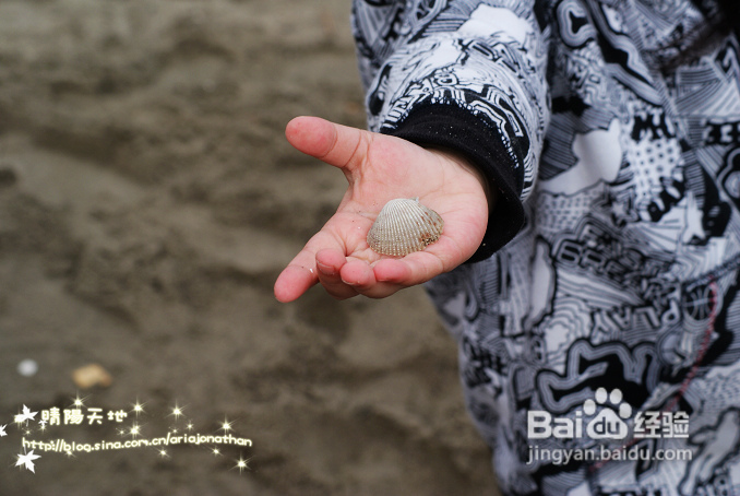 拾海的孩子&亲亲小动物(组图)