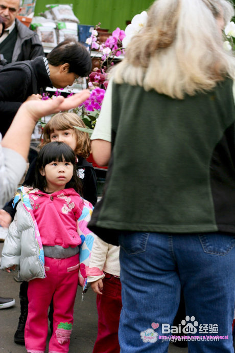 幼儿园亲子户外活动：学种花(组图)