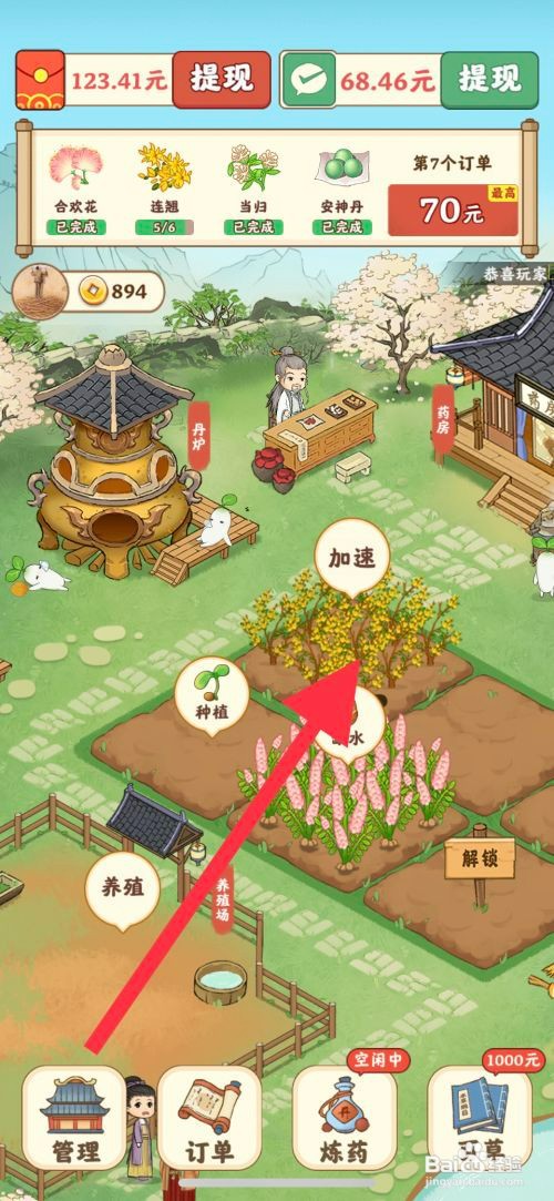 杏林世家如何种植连翘