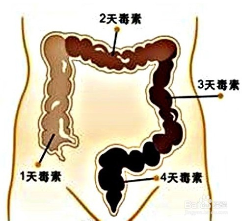 养生保健方法大全_如何有效地排出人体体内毒素