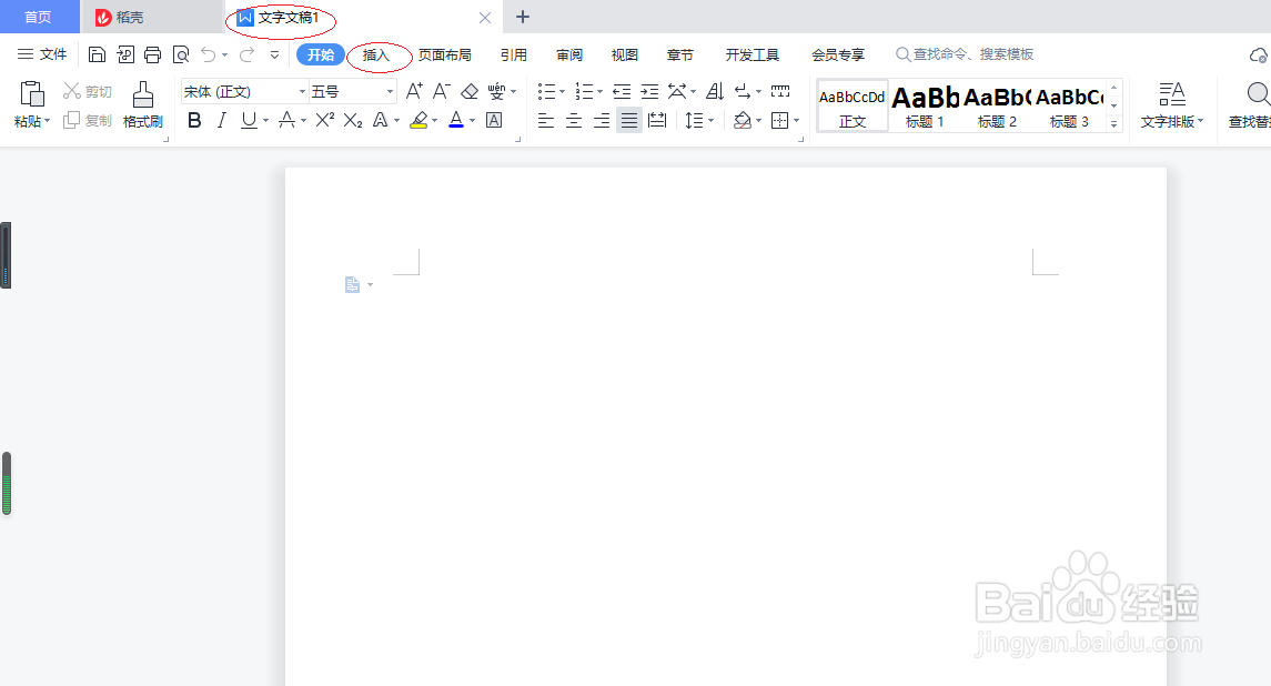 WPS文字处理 2022如何插入图标
