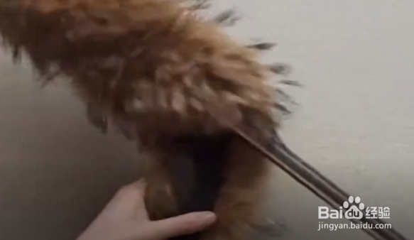 怎样制作生活中实用的小道具