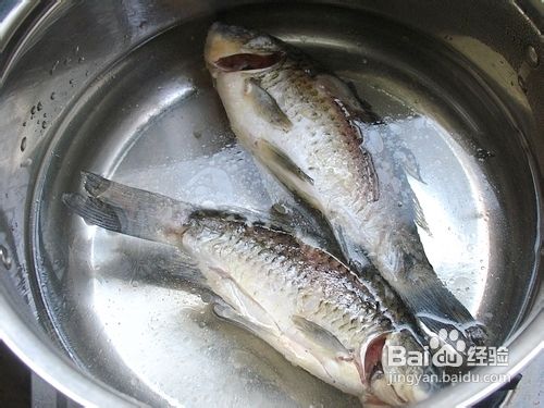 简简单单的奶白色营养汤——鲫鱼蘑菇汤