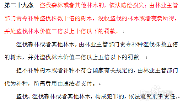 关于林业行政案件中的盗伐林木行为的处罚