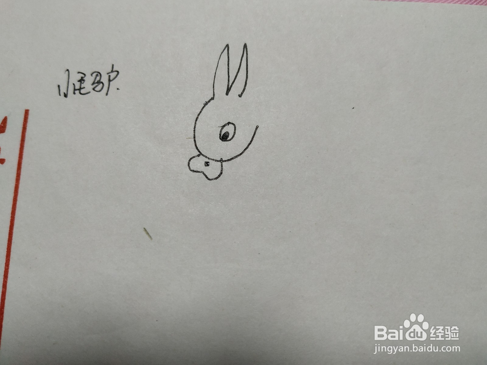 小毛驴简笔画怎么画呢