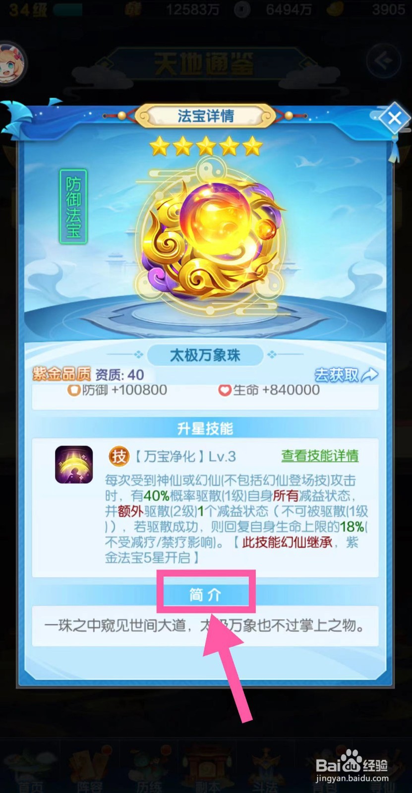 道友请留步怎么查看太极万象珠的简介