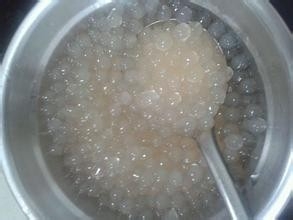 夏季消暑饮品|椰汁西米露