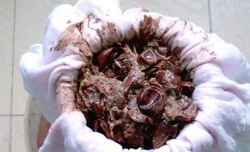 如何手工制作葡萄酒