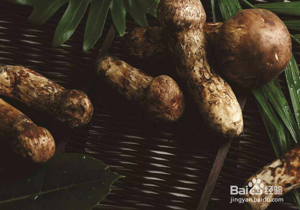 松茸这么贵，那我们应该如何挑选松茸呢？