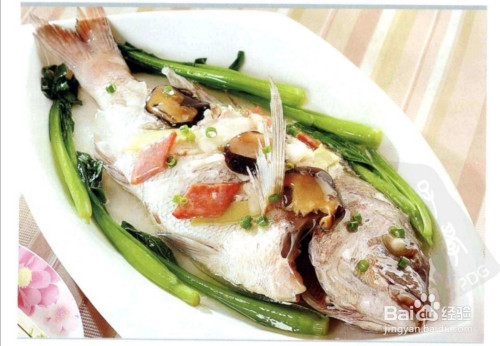 怎么做清蒸加吉鱼?