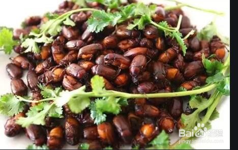 褐金龟飞屋子里怎么办