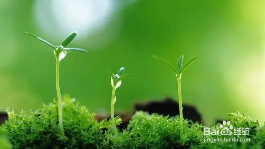 如何理解生物与环境的协同进化