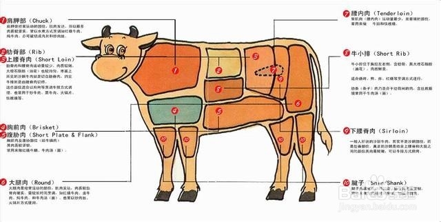 牛排怎么分类 牛排怎么区分