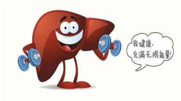 晚上几点肝脏排毒