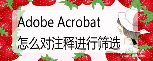 Adobe Acrobat怎么对注释进行筛选