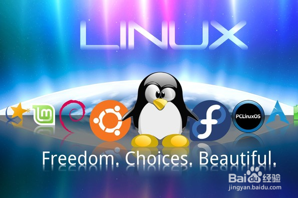 linux操作教程