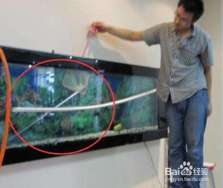 鱼缸内山湖礁变脏变黑怎么办