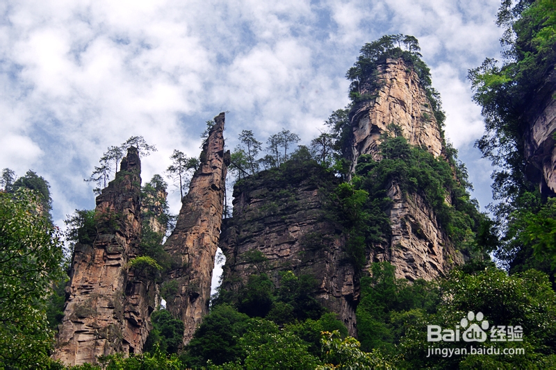 张家界适合自助游吗