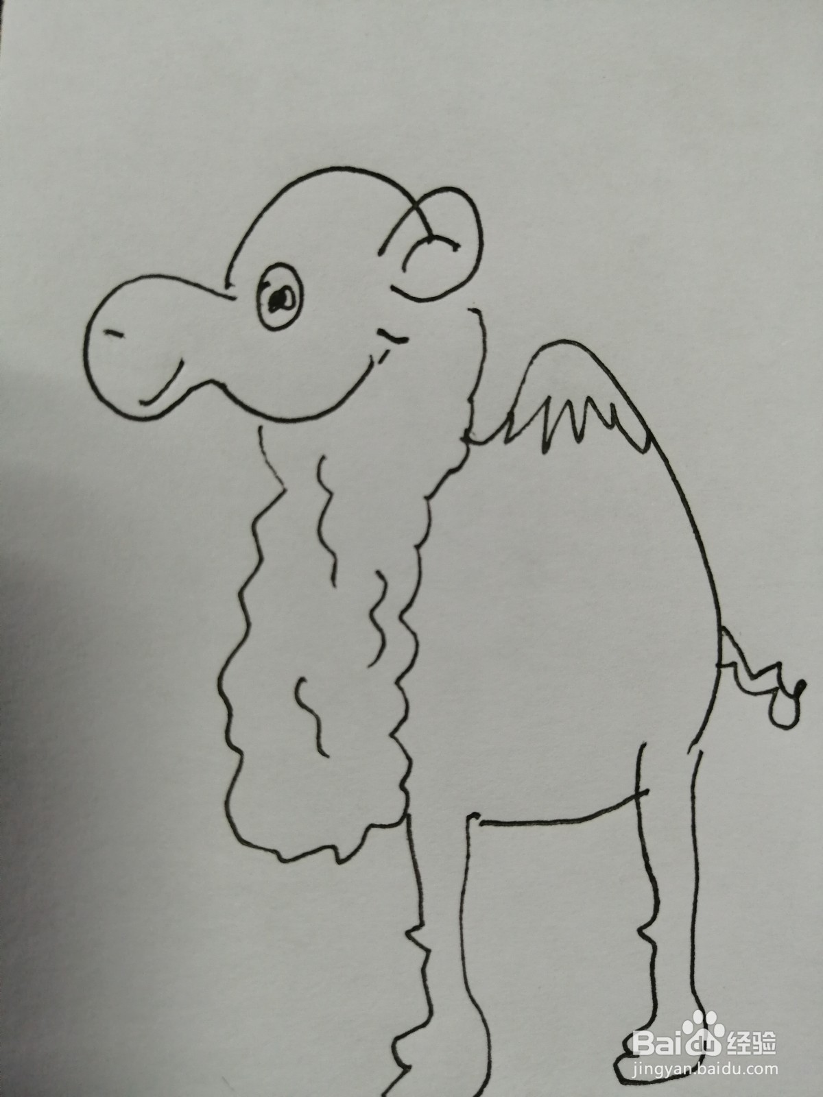 <b>可爱的羊驼怎么画</b>