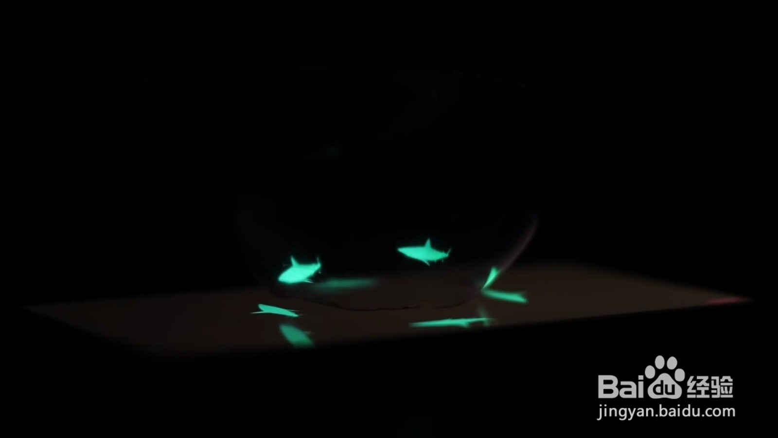 如何用塑料瓶制作投影仪