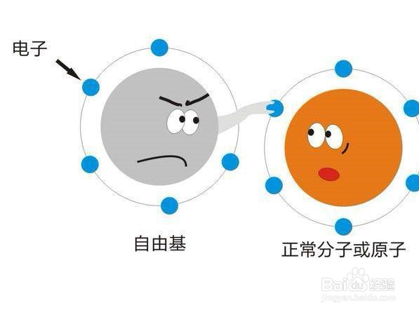 吃香芹对身体有什么好处？