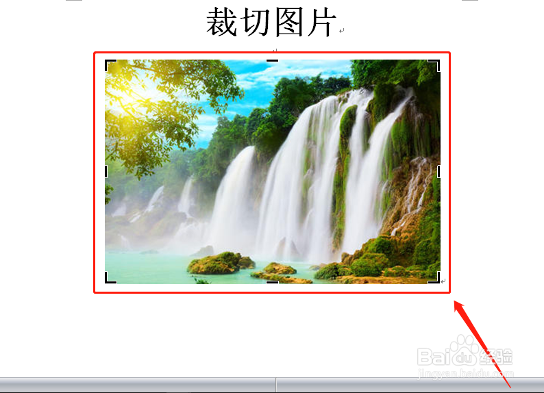Word文档中怎么裁切图片？