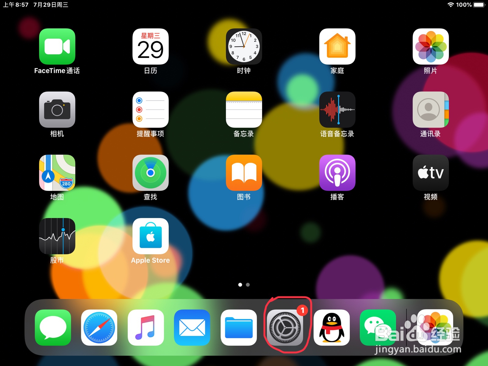 iPad怎么在旁白打开盲文输入的自动翻译
