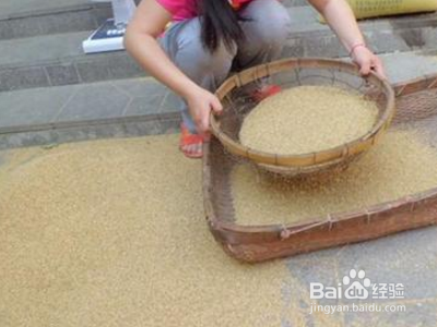 饱满的稻谷和瘪稻谷怎么分开?