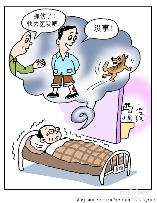 儿童被动物咬伤的注意事项