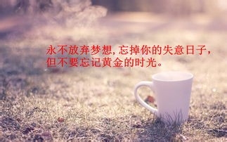 怎样冲刺高考一百天(2)：[3]英语复习考试方法