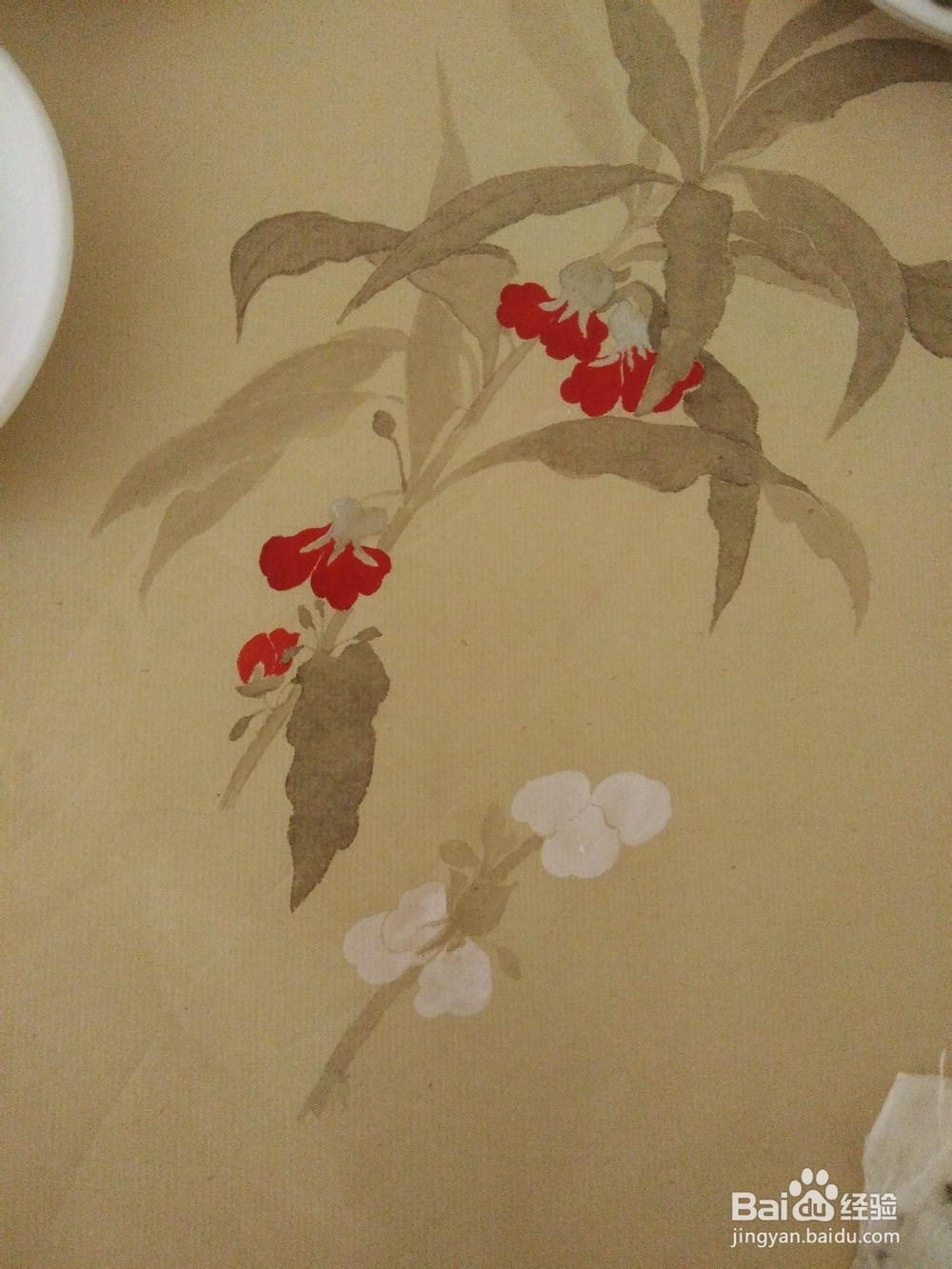 如何用没骨法画一株凤仙花