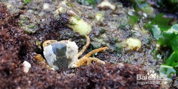 2013年烟台长岛夏季旅游攻略