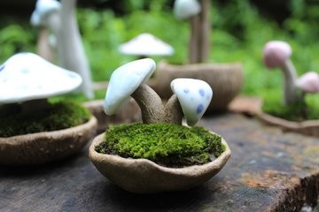 洗发水有什么用处?可不止洗头哦!