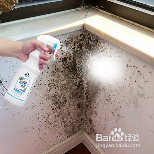 除霉剂真的能去除霉吗