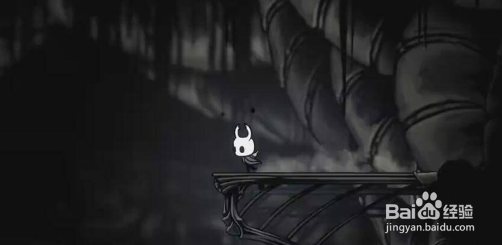 空洞骑士出生地在哪里？