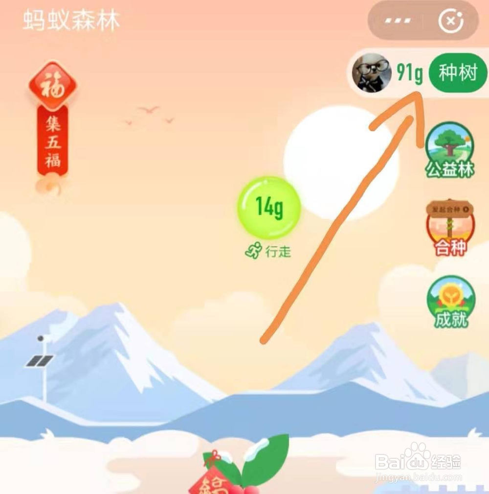 蚂蚁森林福寿保护地如何参加