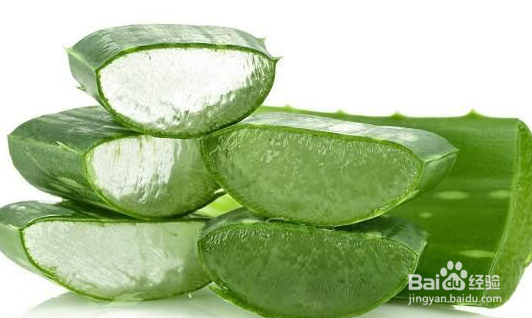 芦荟有哪些好处和坏处