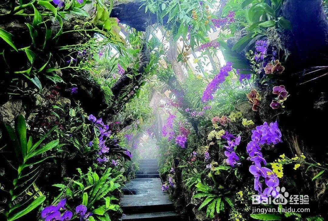 太原植物园2021一日游攻略